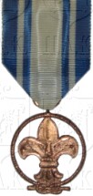 Distinguished Services Medal S.A.G.